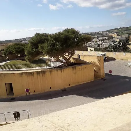 Проживание в семье Cittadella Виктория