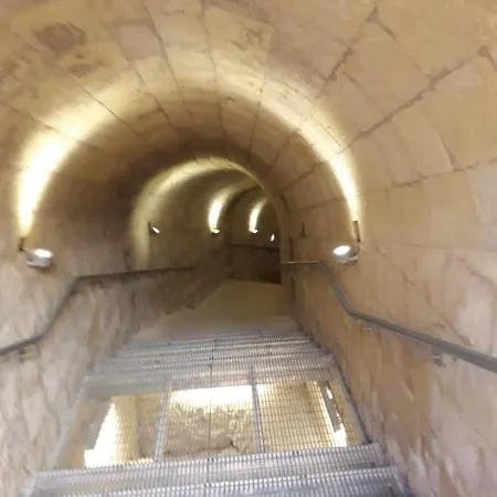 Cittadella Проживание в семье