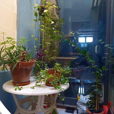 Cittadella Проживание в семье *