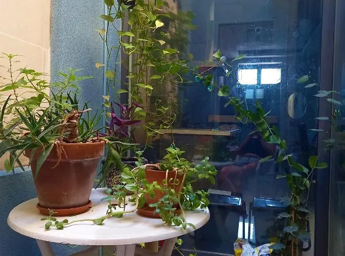 Cittadella Quarto em Acomodações Particulares *