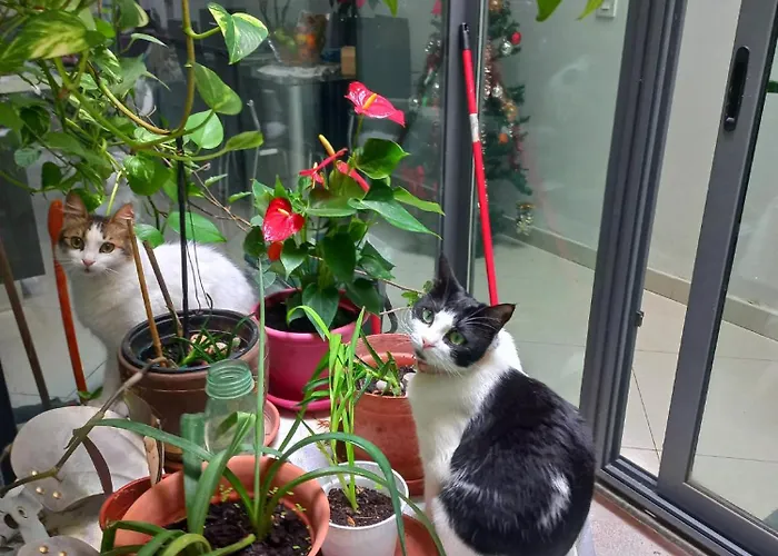 Habitación en casa particular Cittadella *